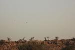 37-120403-Day4-Govardhan14