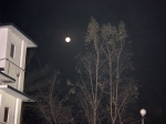 20120308-38